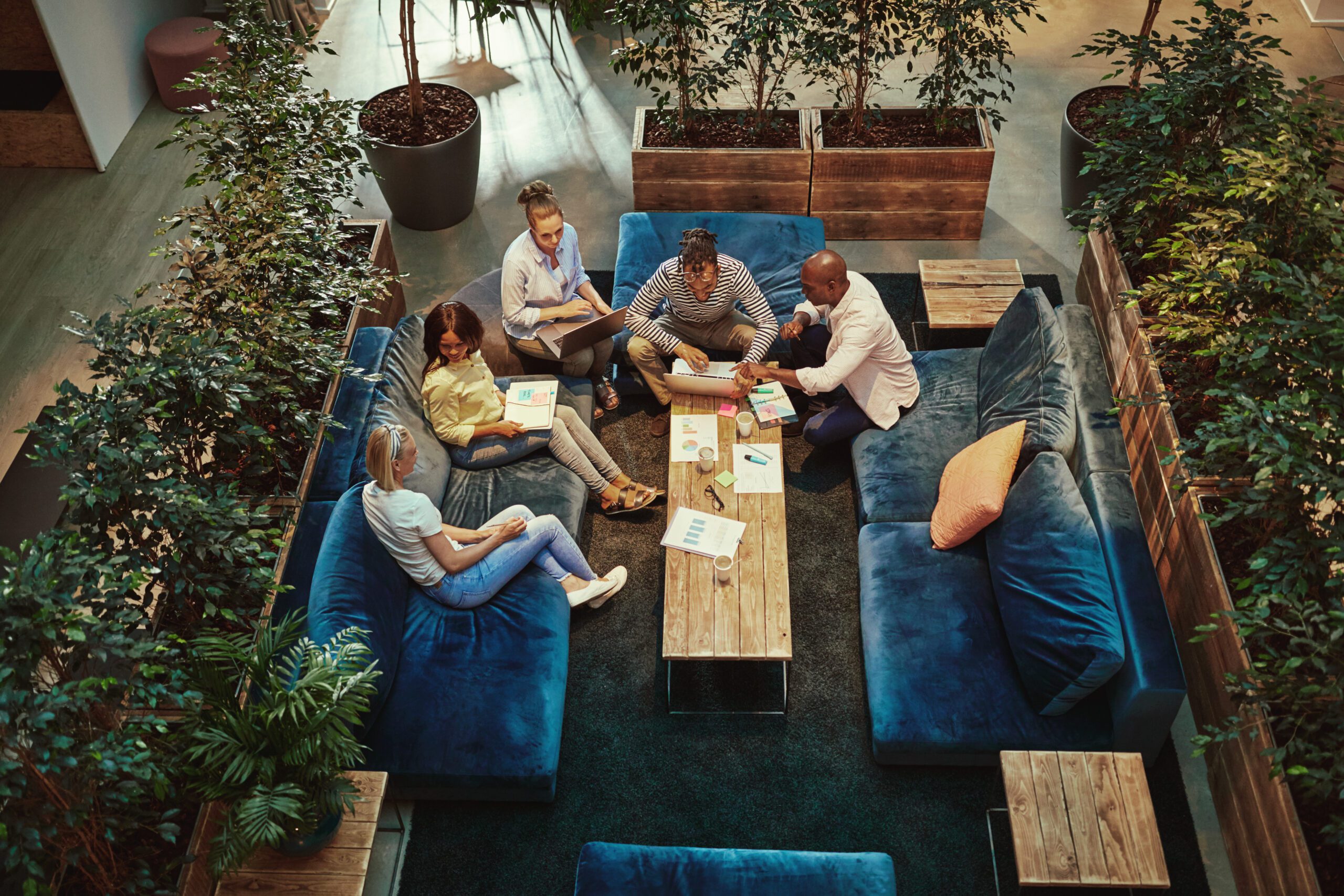 Team building session outdoors at a Bay Area corporate venue