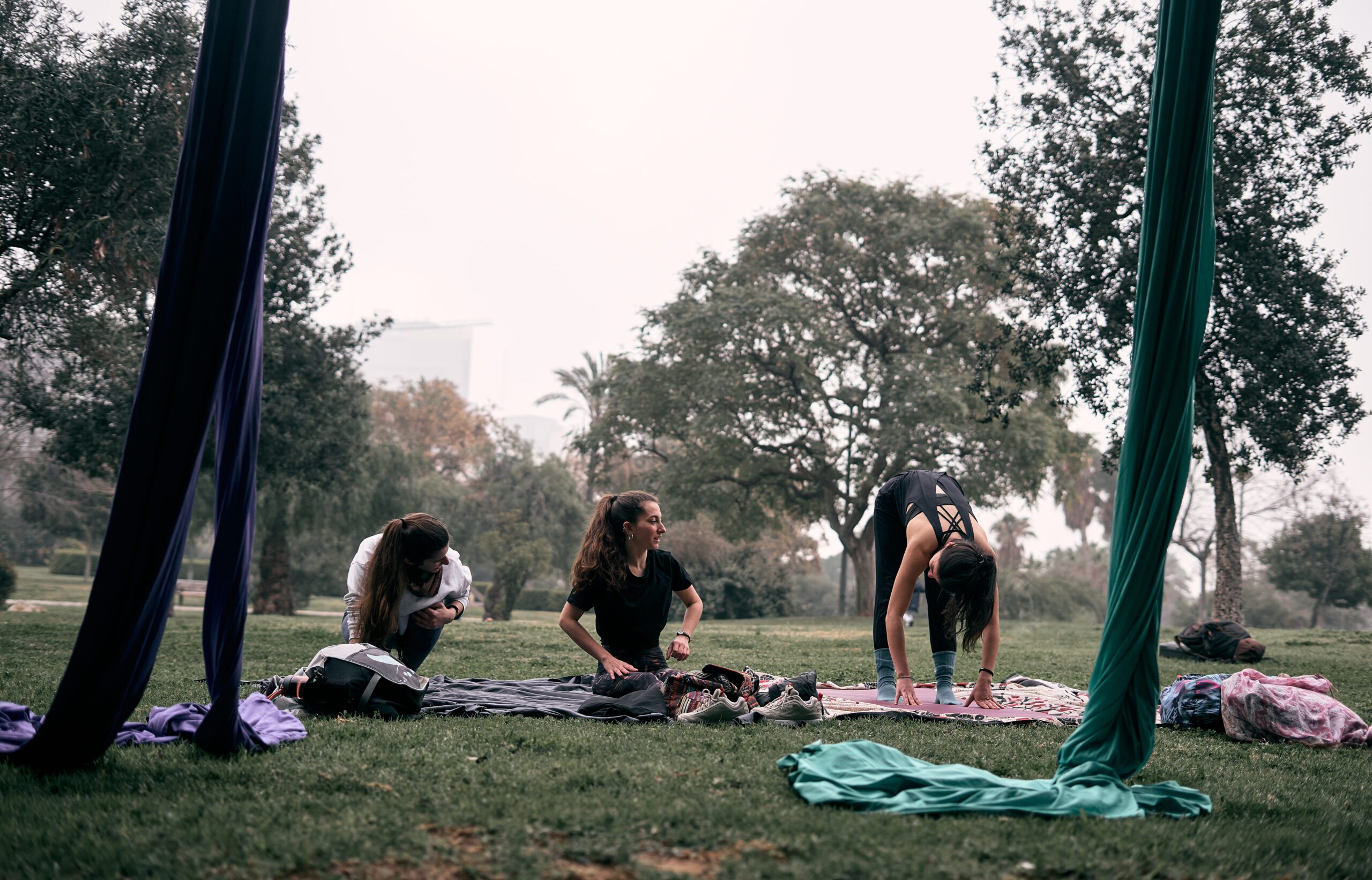 Yoga and meditation under trees during a corporate offsite in Marin